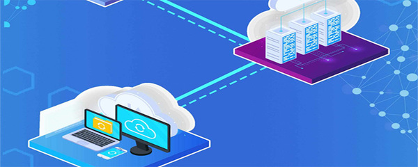 網絡信息管理員的核心職責與信息技術開發任務